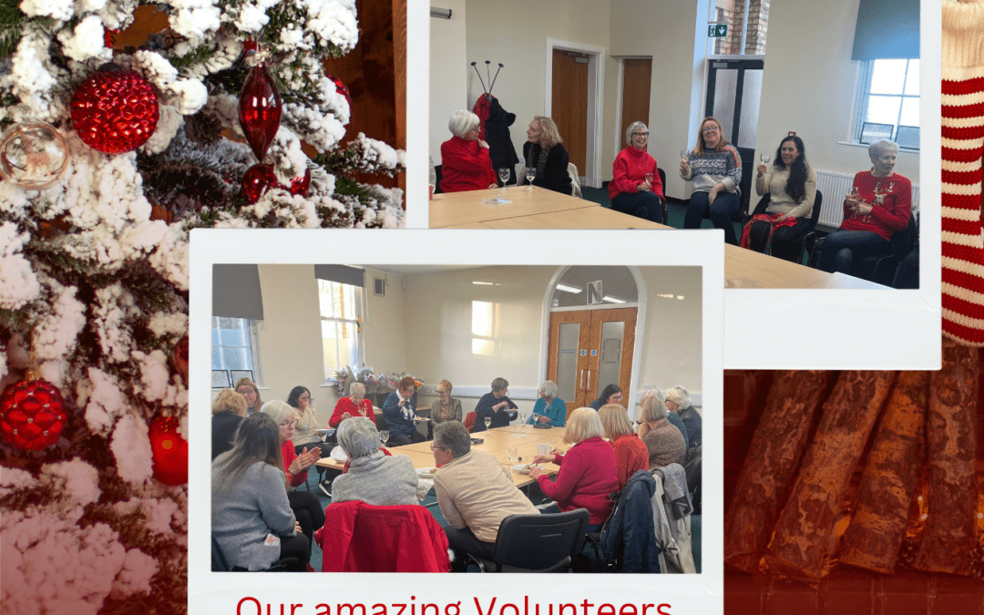 Volunteer Christmas Social