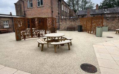 🌿 RCH Garden Transformation: From Tired and Overgrown to Truly Thriving! 🌿